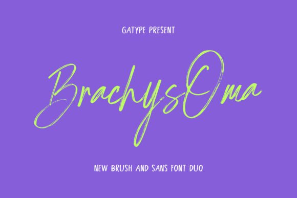 Brachys Oma: A Handwritten Font for Modern Branding