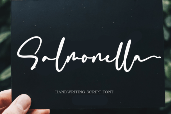 Salmonella: Elevating Design with Artistic Typography